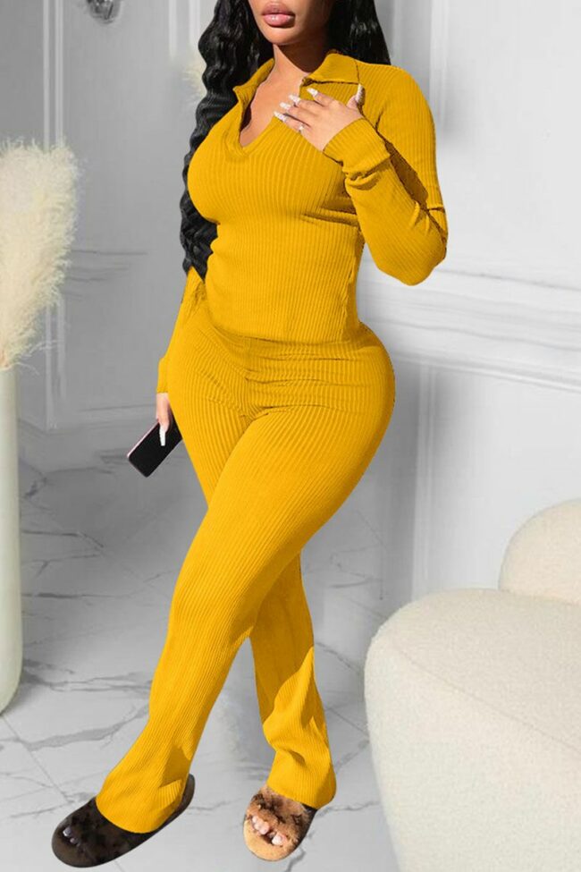 Casual Solid Split Joint V Neck Long Sleeve Two Pieces